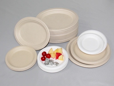 Factory Customized Bulk Wholesale Cheap Eco Singapore Envases Biodegradables Disposable Cake Noodles Fruit Disposable Paper Dinner Plate